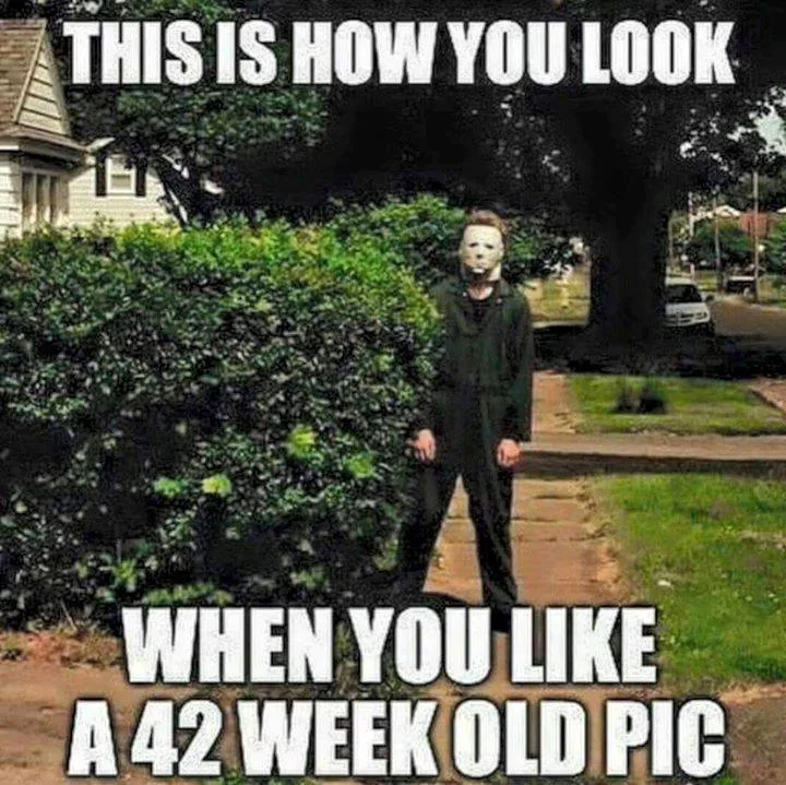 stalker meme