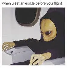 flying meme
