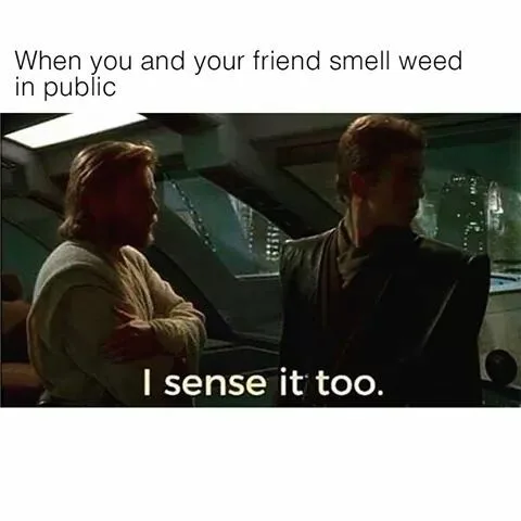 pot meme