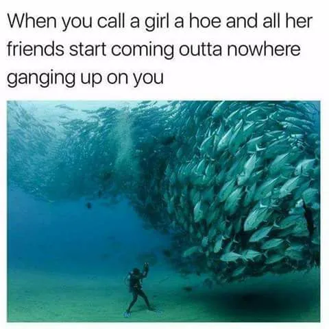 gang meme