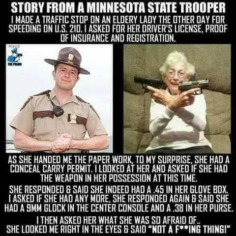 gun ownership meme