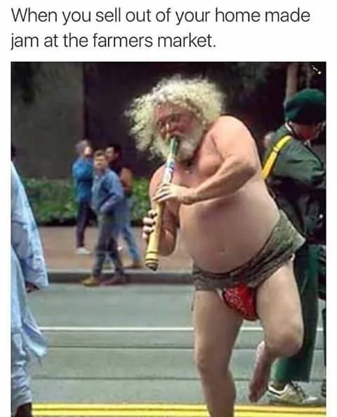 hippie meme