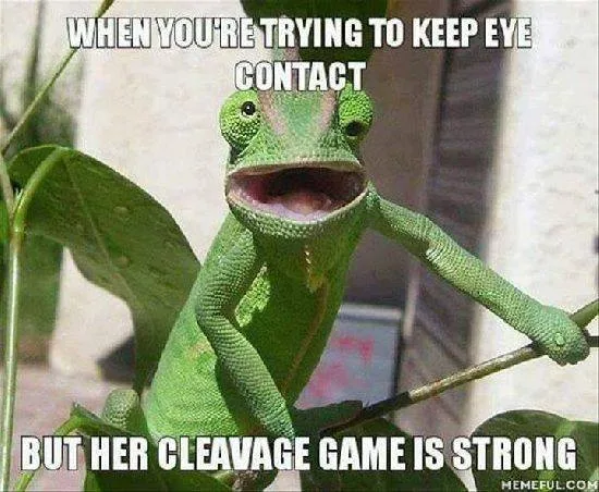 eye contact meme