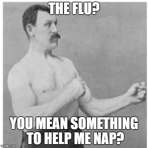 flu meme