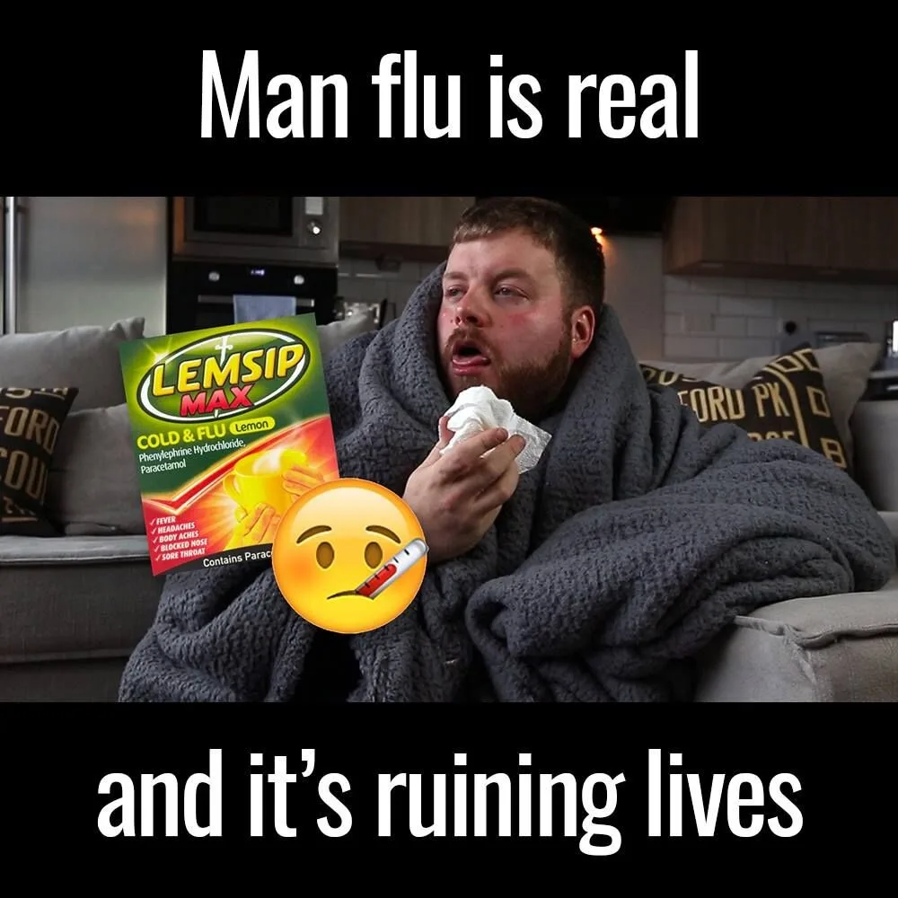 flu meme