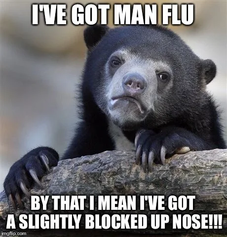 flu meme