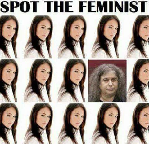 feminist meme