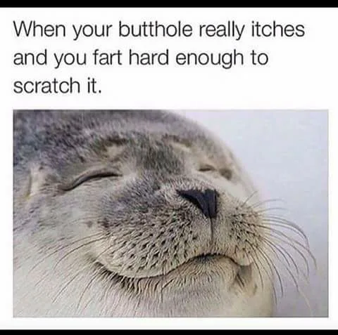 itching meme