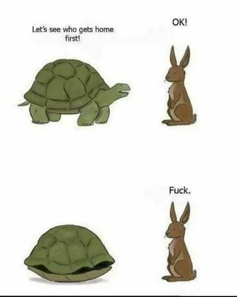 turtle meme