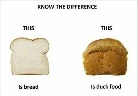 bread meme