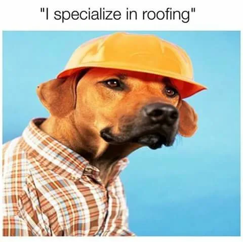 roof meme