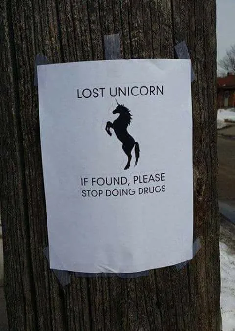 lost and found meme
