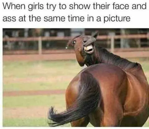 selfie stick meme