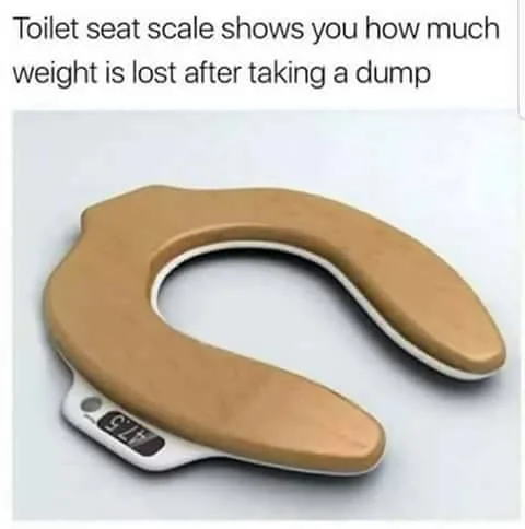 toilet meme