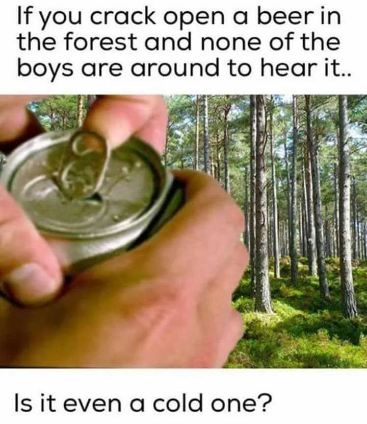 bro meme