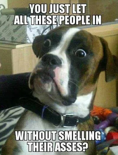 hosting meme