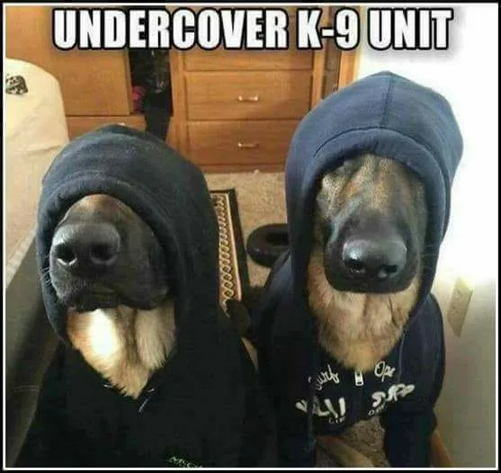 K-9 unit meme