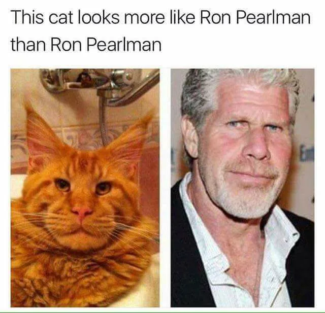 Ron Pearlman meme