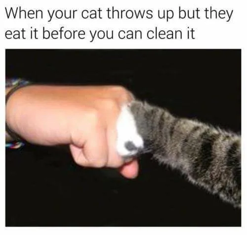 throwing up meme