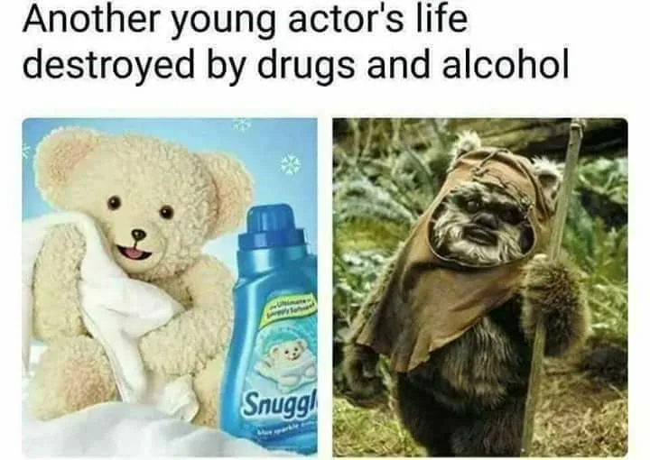 Ewok meme