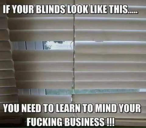 nosiness meme