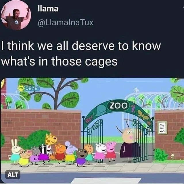 zoo meme