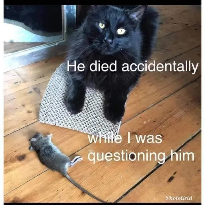 mouse meme