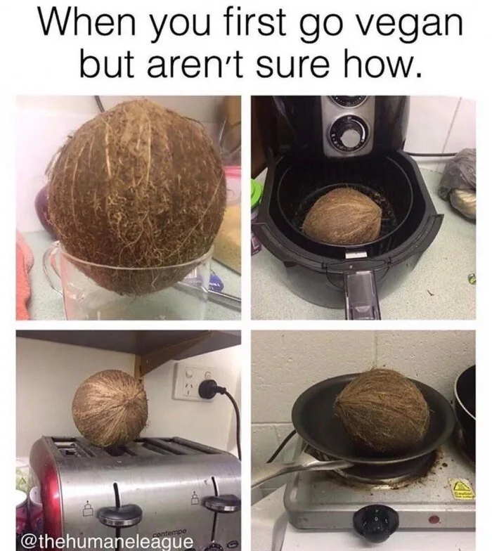 coconut meme