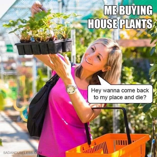 houseplant meme