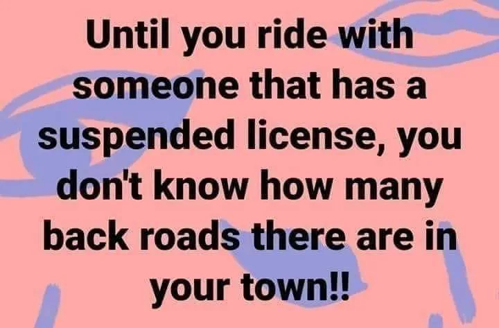 driver's license meme