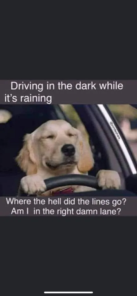 driving meme