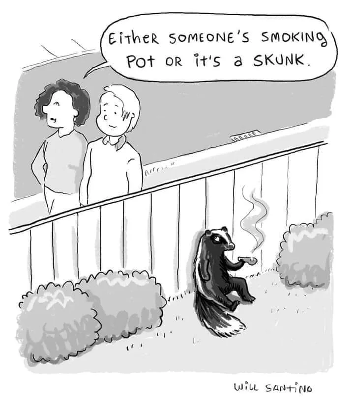 skunk meme