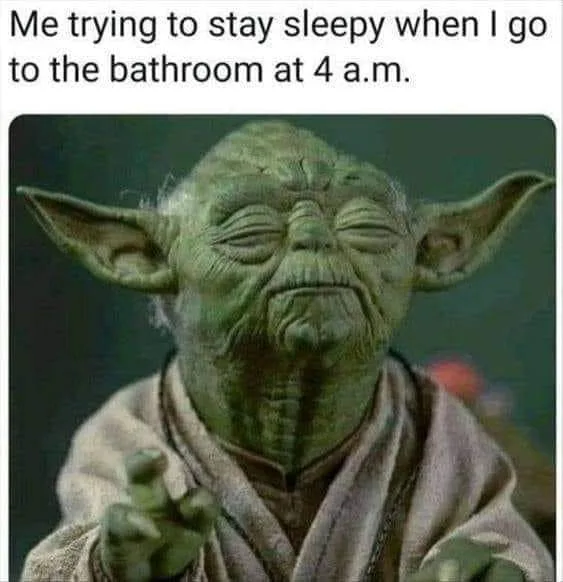 waking up to pee meme