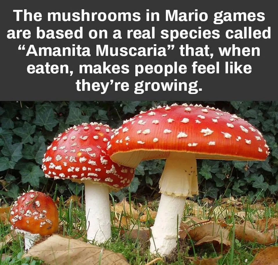 Mario meme