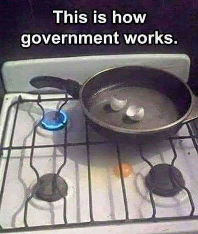 government meme