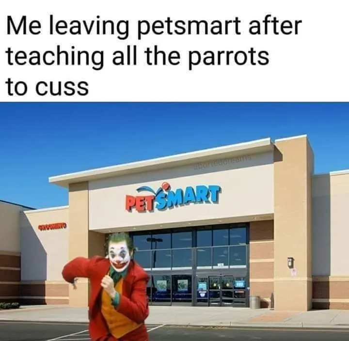 parrot meme