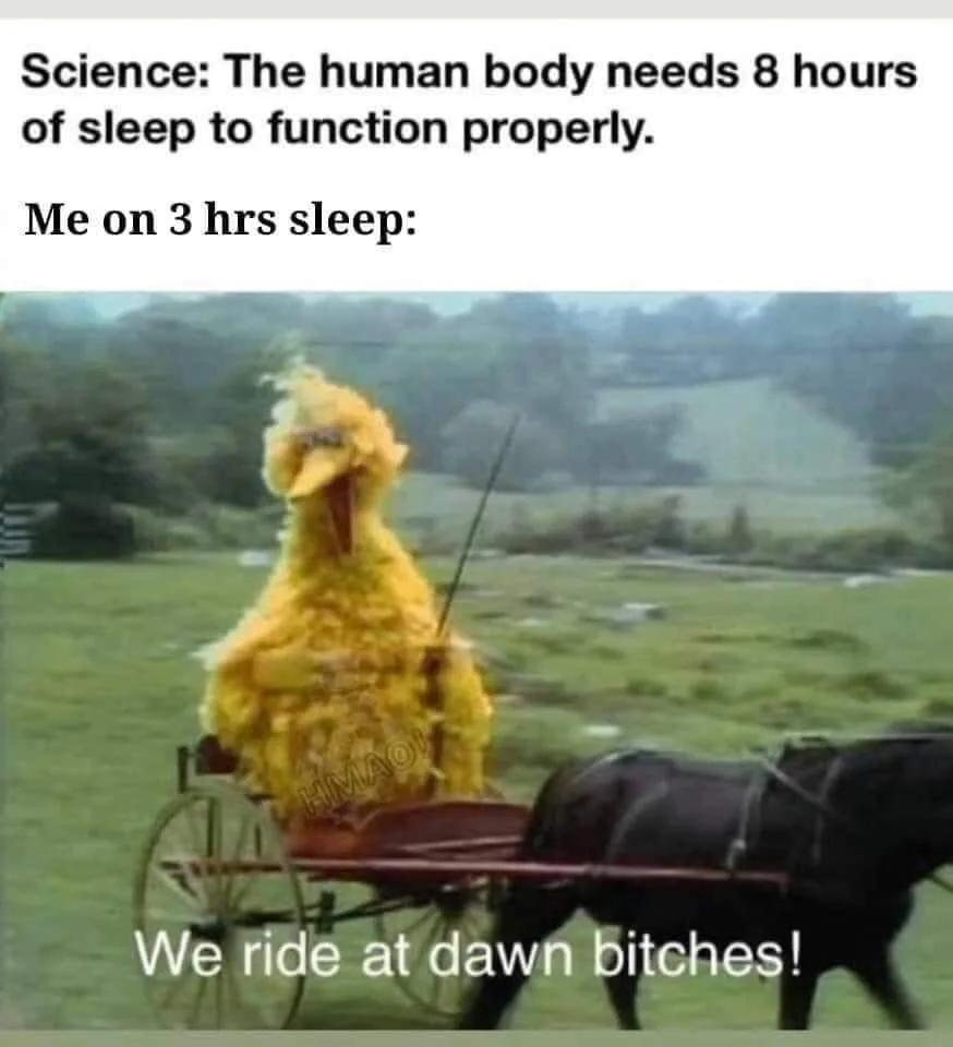 sleep meme
