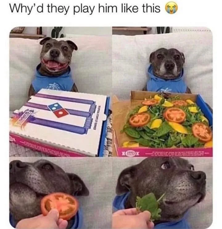 treat meme