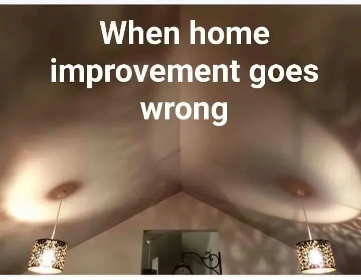 home improvement meme