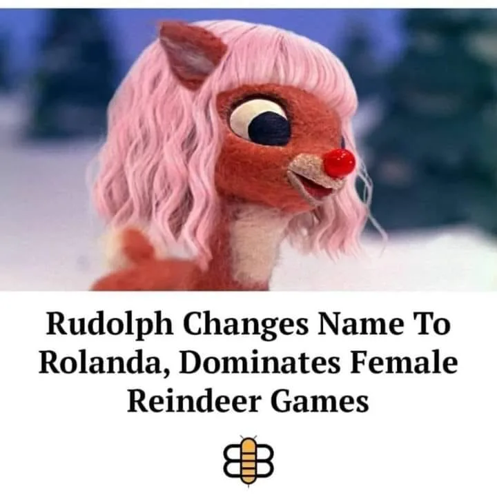 transgender movement meme