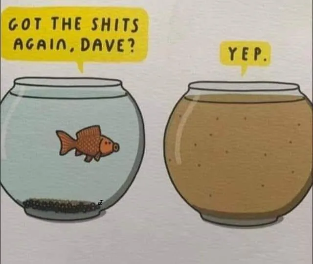 diarrhea meme