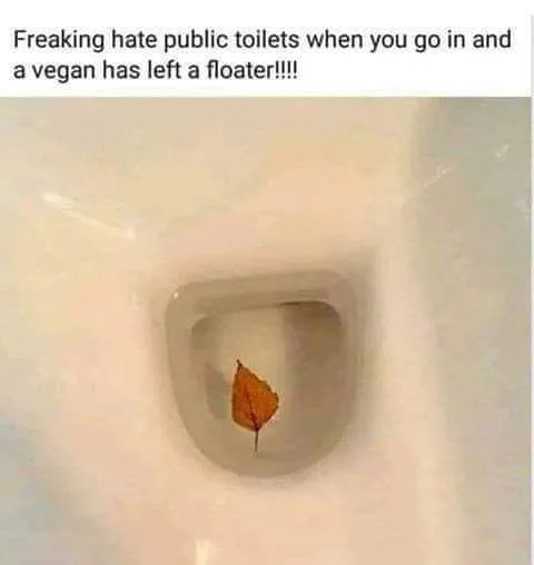 public bathroom meme