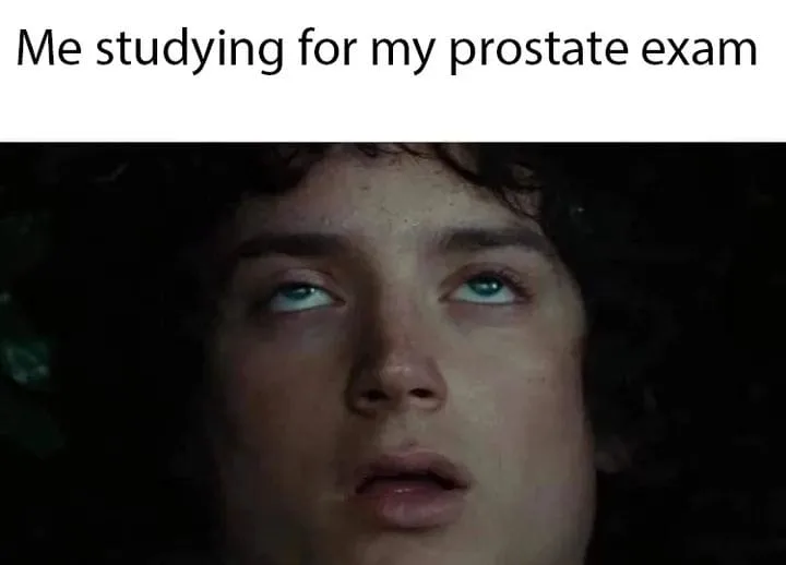 prostate gland meme