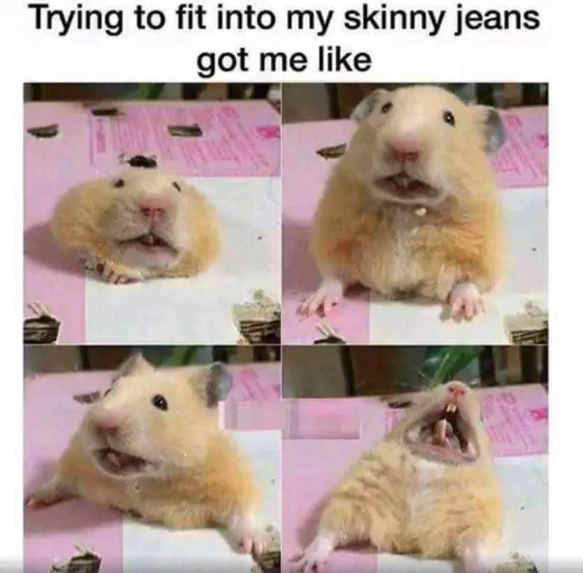 blue jeans meme