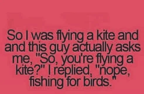 kite meme