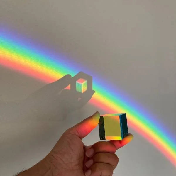 prism meme