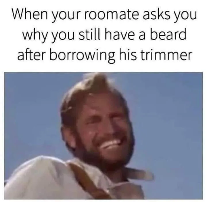 roommate meme
