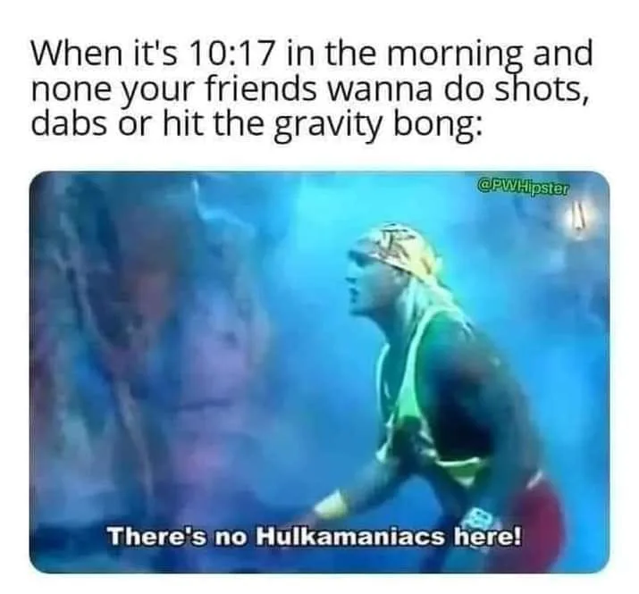 partying meme