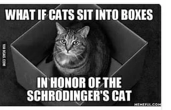 box meme