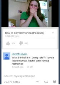 harmonica meme